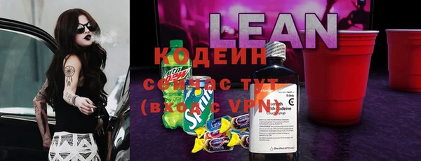 прущий лед Гусев