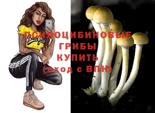 прущий лед Гусев