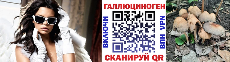 Псилоцибиновые грибы GOLDEN TEACHER  Купить где  Жуков 